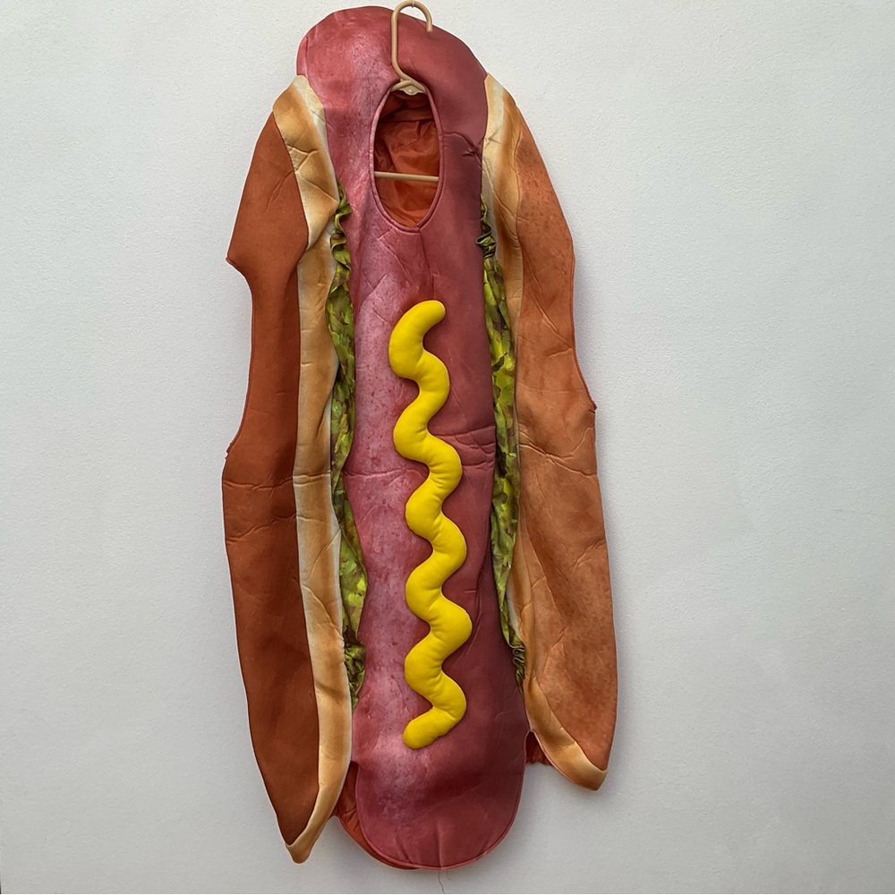 Target Novelty Hot Dog Costume in Brown, Pink, Yellow